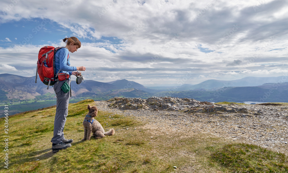 A hiker feeding their dog on the summit of Barrow in the Derwent Fells in the English Lake District.