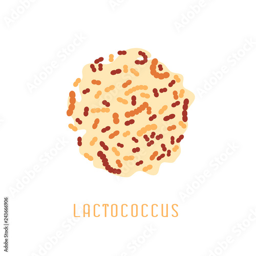Lactobacillus acidophilus image