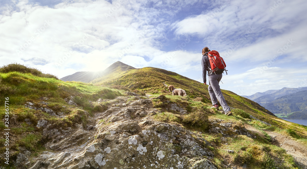 A hiker walking up a mountain ridge, The Edge, towards Ullock Pike, Carl Side and Skiddaw in the English Lake District UK.