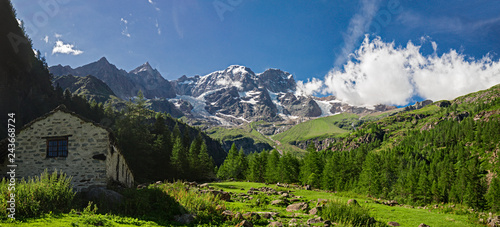 Panoramic view, in the grips of a mountain pasture, of the south face of Monte Rosa in Piedmont, Italy.