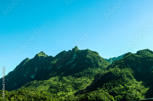 A large mountain with green trees covered and the blue sky.