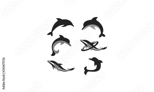 set dolphin logo vector