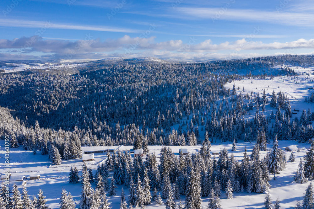Aerial drone view of winter landscape