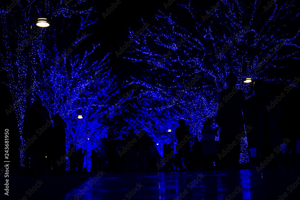 Crowd of people and Christmas holiday light trees (Tokyo, Japan) Crowd of people and Christmas holiday light trees (Tokyo, Japan)