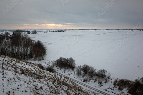 Landscape with tree and field at winter somewhere on Ponidzie  Swietokrzyskie  Poland