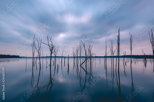Long exposure at dawn over a lake with eerie trees 