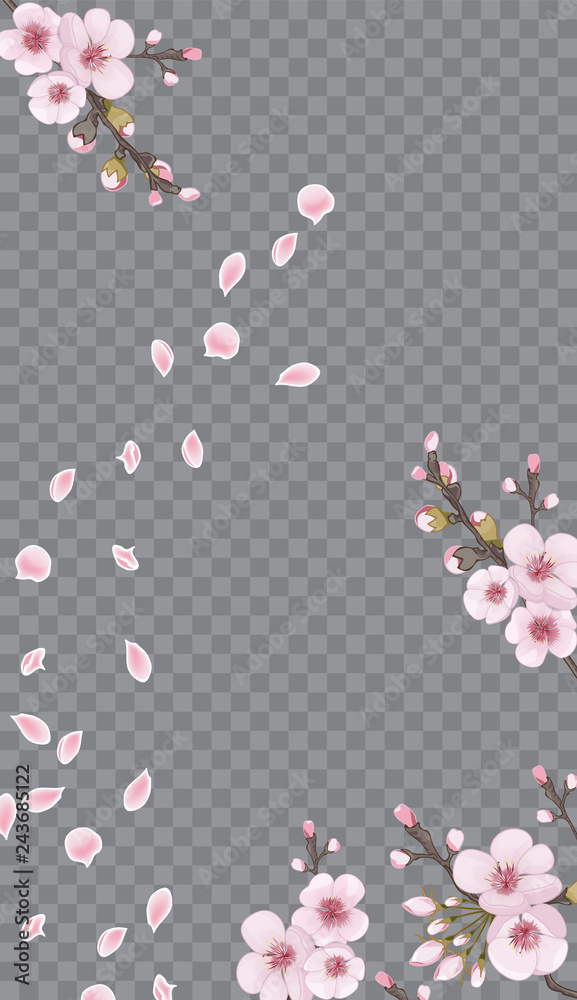Spring frame vertical of sakura flowers. Theme design textiles, wallpaper,  packaging, printing, story. Pink on transparent background. Handmade  background in Chinese style. Stock Vector | Adobe Stock