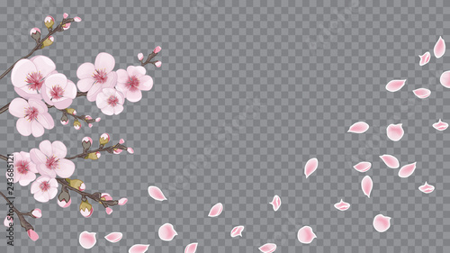 The idea of textile design, wallpaper, packaging, printing. Handmade background in the Japanese style. Light frame of sakura flowers. Rose on transparent fond.
