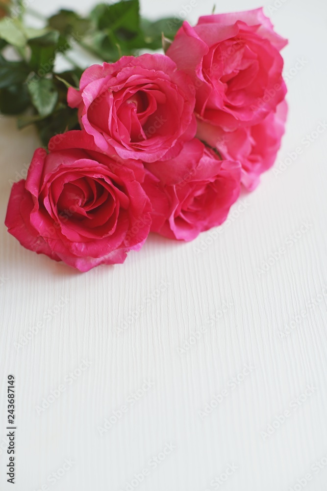 Elegant pink rose with natural soft light on white table background, beautiful valentine's day background concept