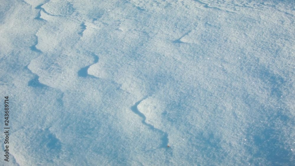 Close-up of snow at dawn Close-up of snow at dawn