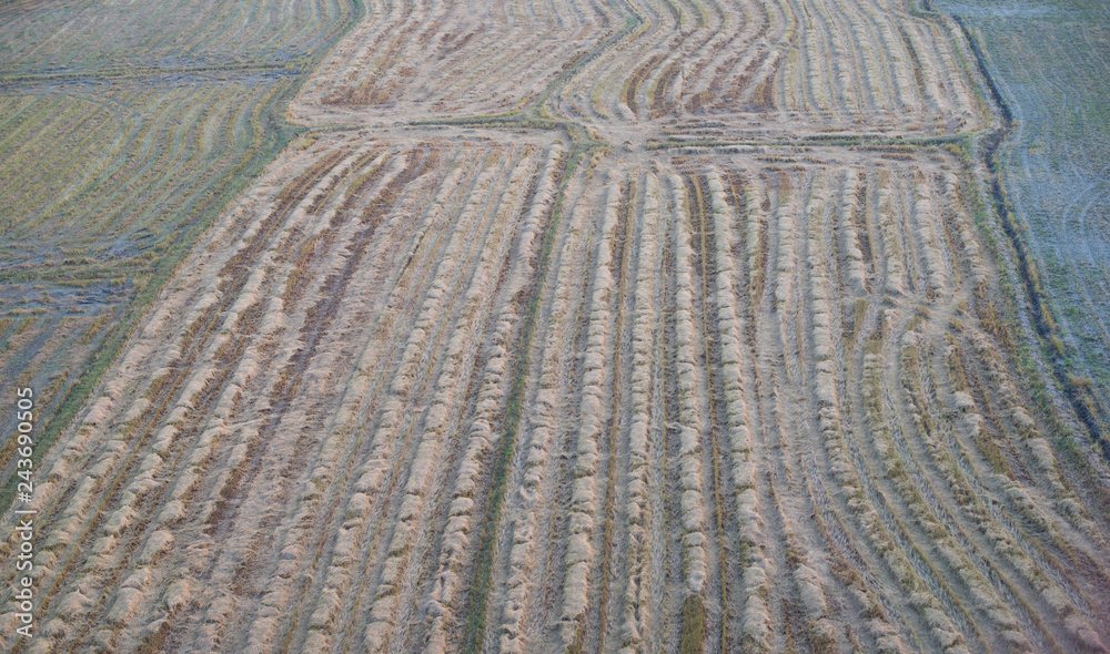 Agricultural areas after harvesting Agricultural areas after harvesting