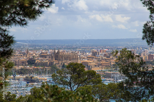 Catedral de Palma vista desde el Castillo de Bellver