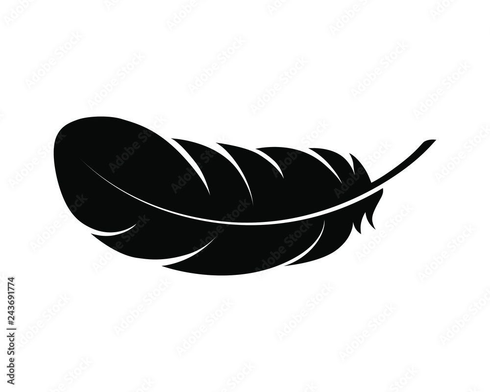 White Feather Vector Art, Icons, and Graphics for Free Download