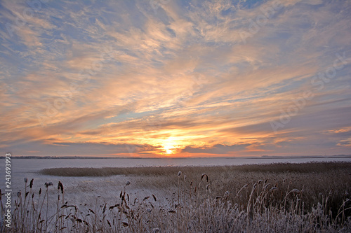 Winter rural landscape. Lake in winter. © FloralShot
