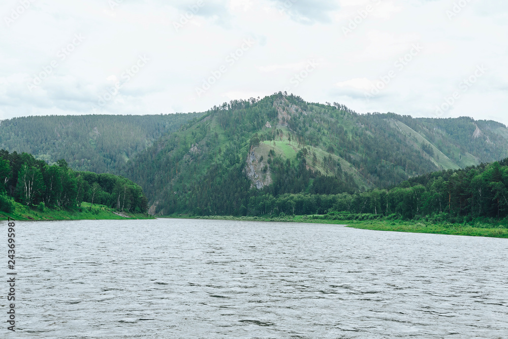 green forested island