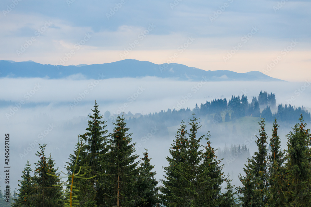 Beautiful sunrise at the foggy mountain range