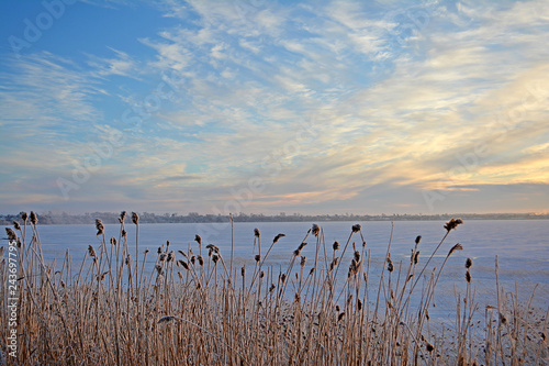 Winter rural landscape. Lake in winter.