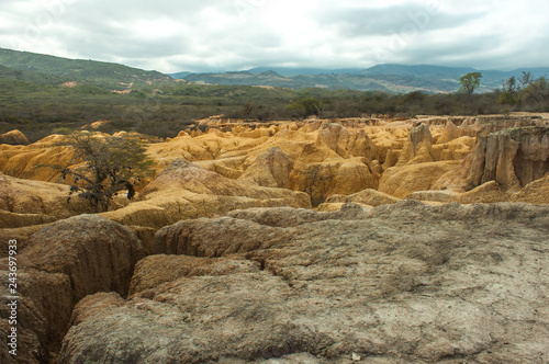 paisaje Falla geologica hundicion de YAY, desierto de arcilla y cactus