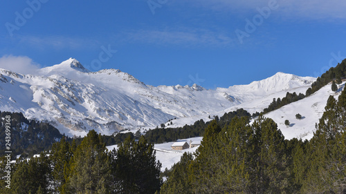 Panorama di montagna, con neve, pini e cielo blu