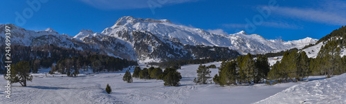 Panorama di alta montagna, in inverno, con neve, pini e cielo blu