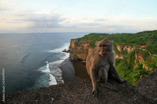 Cliffs of the Bukit Peninsula  Uluwatu  Bali  Indonesia