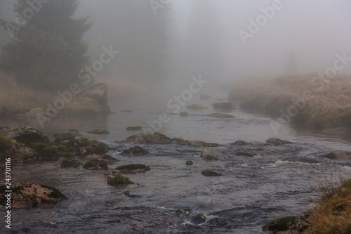 Izera river in foggy landscape in the morning _Izerskie mountains