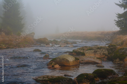 Izera river in foggy landscape in the morning _Izerskie mountains