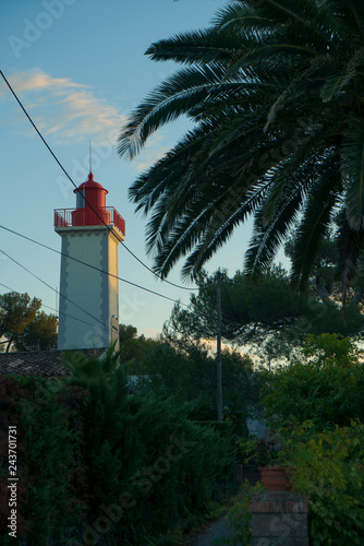 Baumette / Leuchtturm in Agay, Cote d`Azur Saint-Raphaël photo