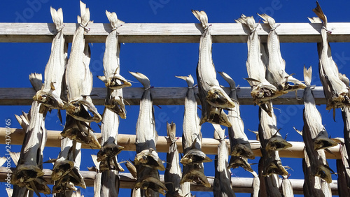 Norway; Stockfish industry