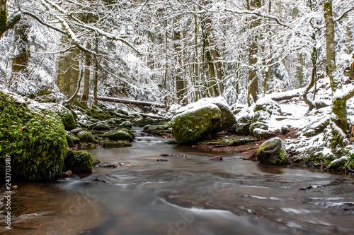 creek in winter