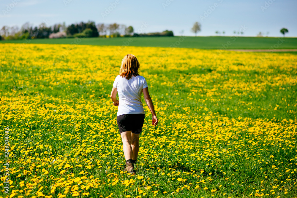 A woman is hiking through a yellow flowering meadow on a sunny spring day A woman is hiking through a yellow flowering meadow on a sunny spring day