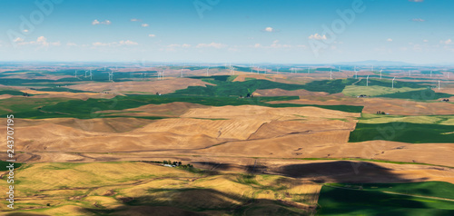 Wind Turbines in the Palouse Agricultural Area