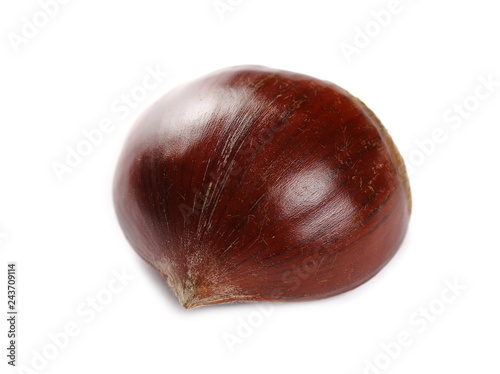 macro edible chestnut isolated on white