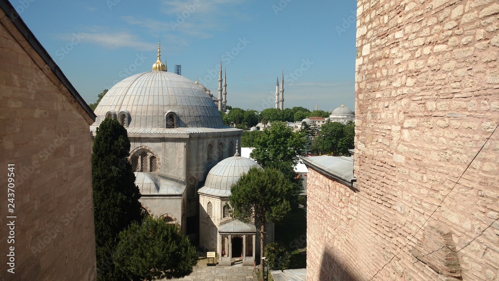 view of the mosque in istanbul turkey