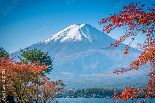 Mt. Fuji on blue sky background with autumn foliage at daytime in Fujikawaguchiko  Japan.