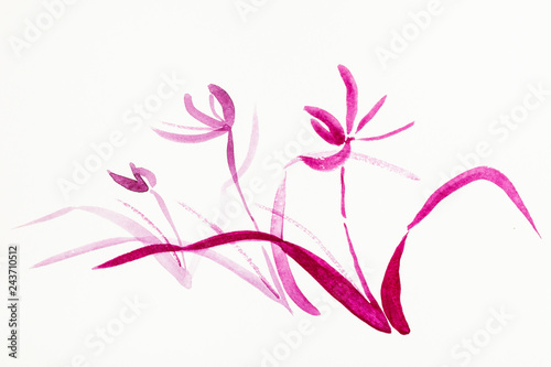 orchid flowers are hand drawn on creamy paper
