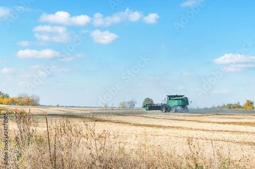Green harvester in the field cleans crops © andrei310