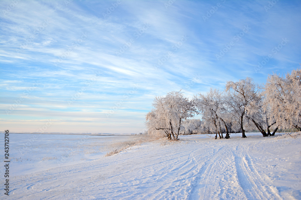 Winter landscape Winter landscape