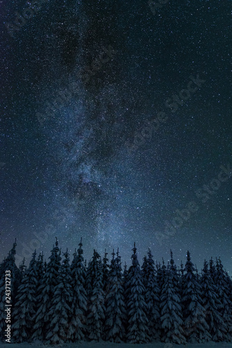 Starry night sky