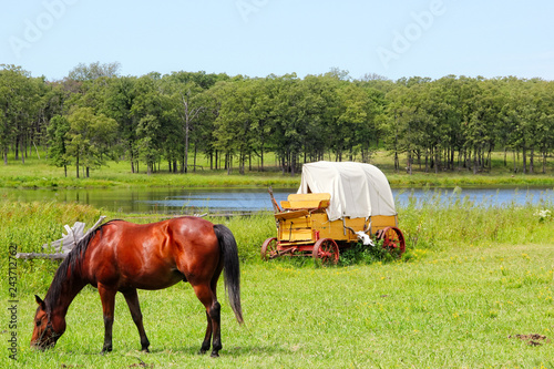 Horse and a covered wagon in the prairie 