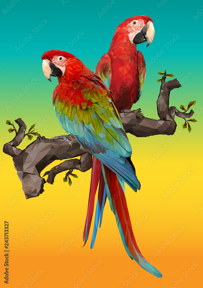 Fototapeta premium Illustration drawing of green wing macaw birds.