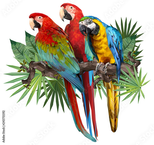 Carta da parati Pappagalli - Carta da parati Illustration drawing of green wing macaw birds.