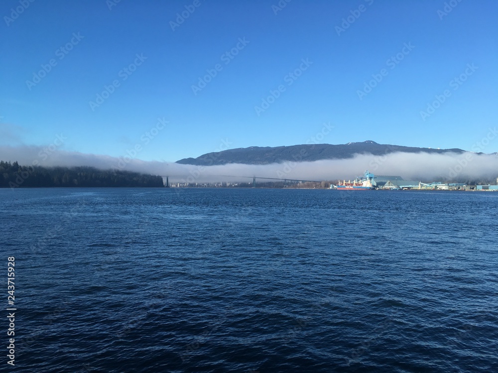 Fog over the bridge