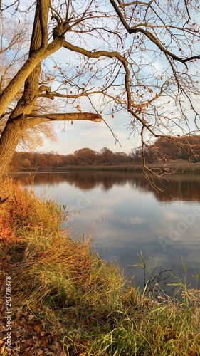 autumn landscape with river and trees in forest