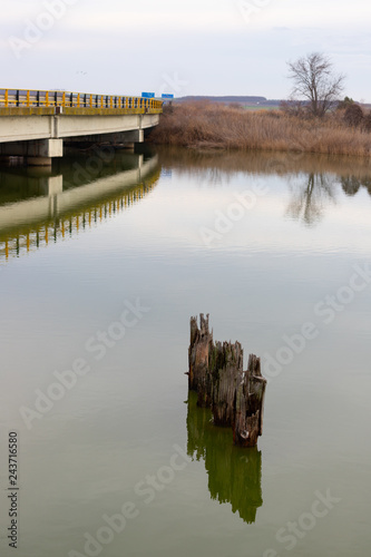 Pieces of wood coming out of water in lake Vistonida, Rodopi, Greece photo