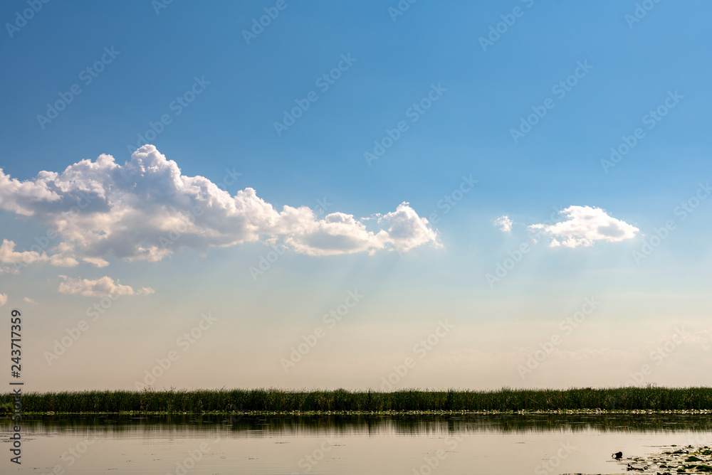 Danube Delta Vegetation and wildlife