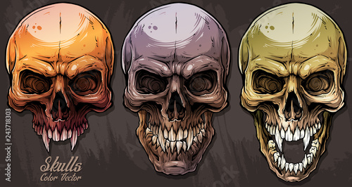 Detailed graphic realistic cool colorful human skulls with sharp canines. On gray grunge background. Vector icon set.