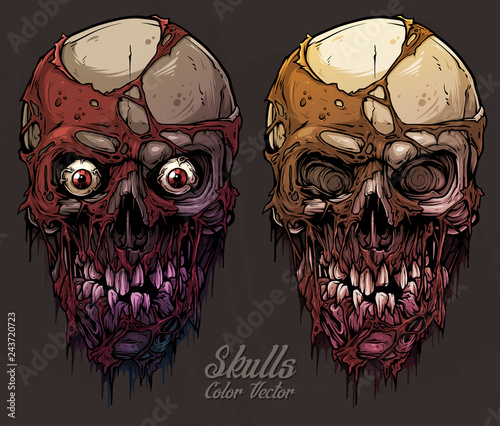 Detailed graphic realistic cool colorful human skulls with horrible pieces of dead skin, eyes and broken teeth. On gray grunge background. Vector icon set.