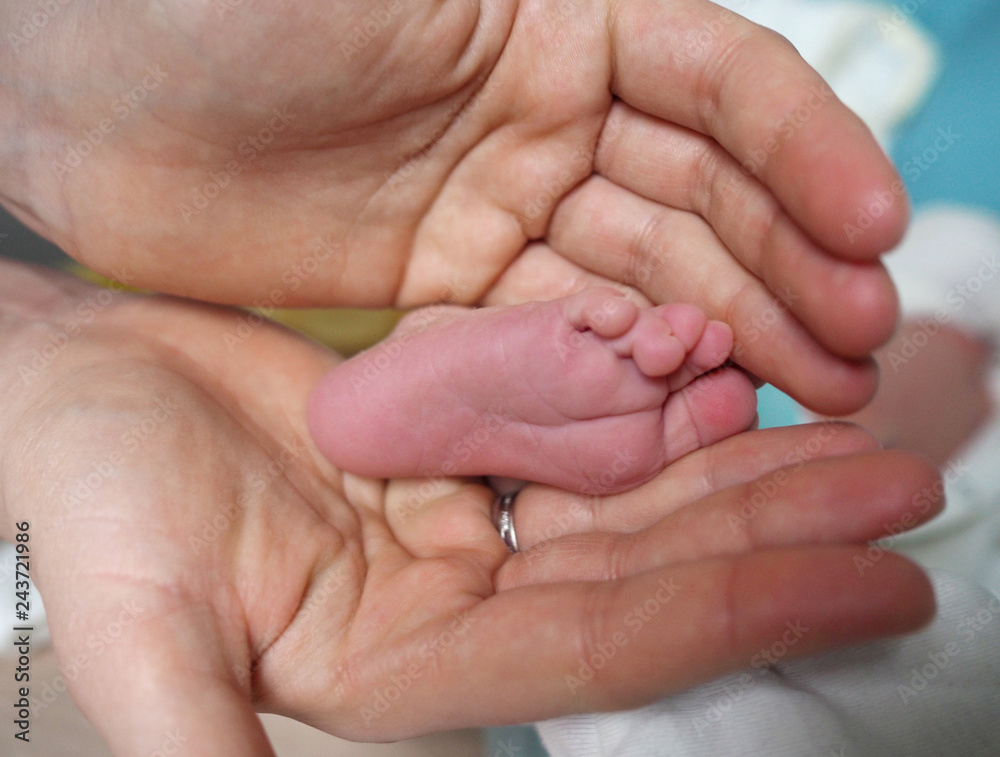 Baby feet in mother hands Baby feet in mother hands