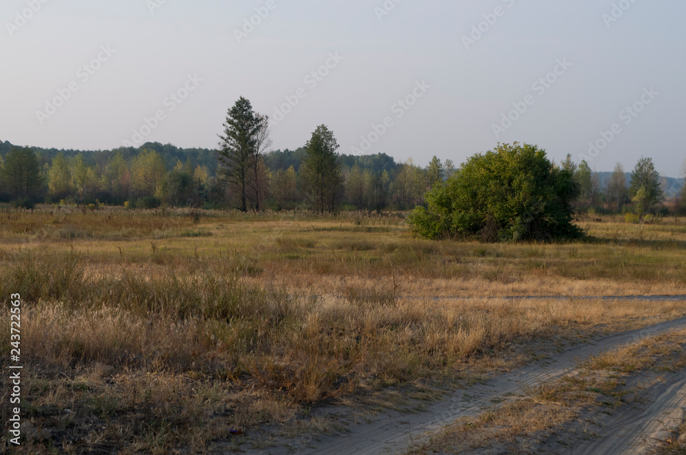 Early morning in the green meadow and trees and bushes far away. Summer landscape Early morning in the green meadow and trees and bushes far away. Summer landscape